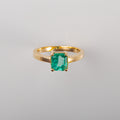 Anillo Vital