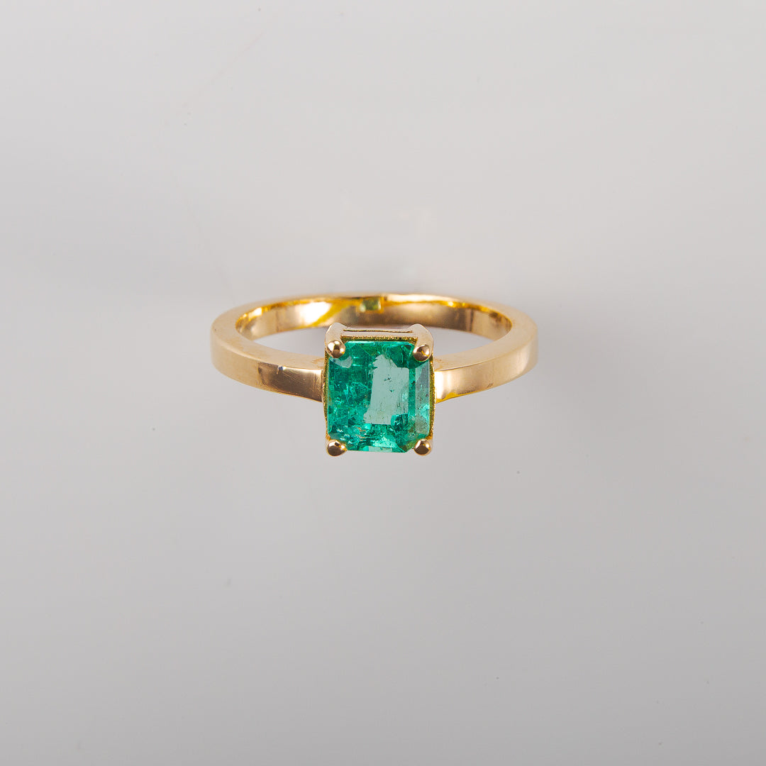 Anillo Vital